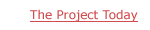 The Project Today